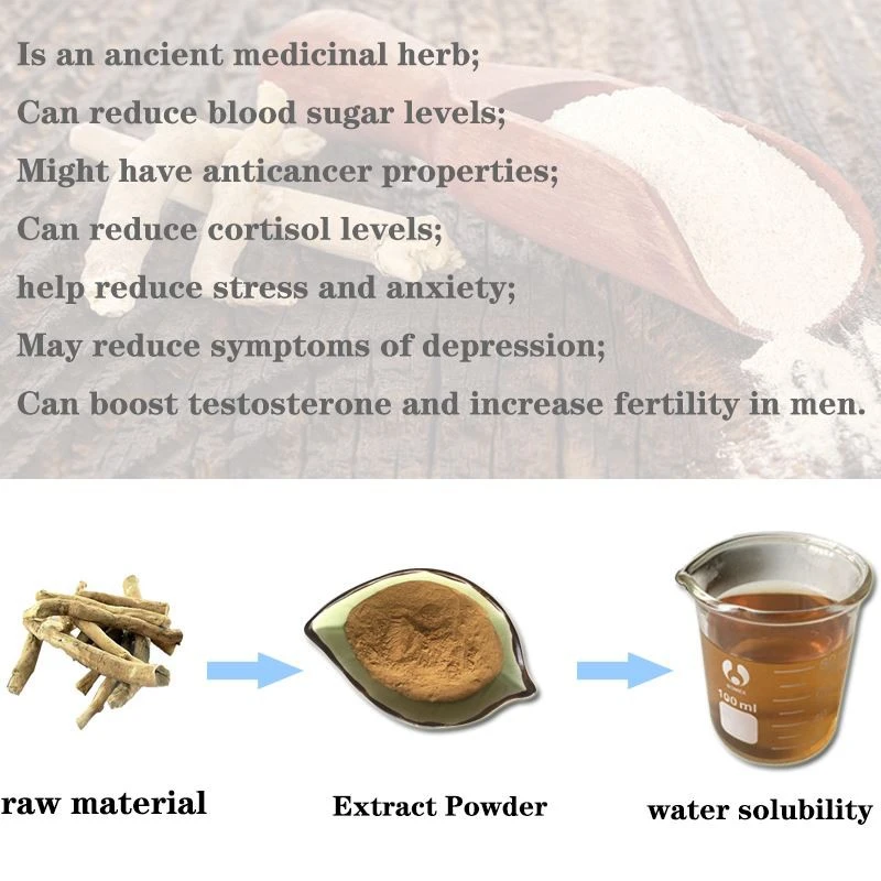 Ashwagandha Extract Withanolides.webp